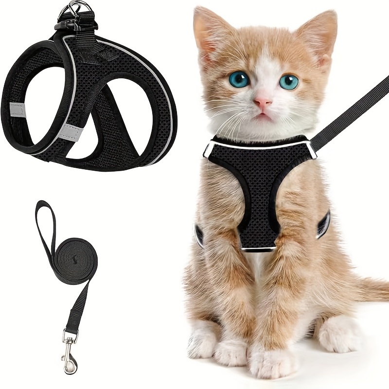 Escape-Proof Cat Harness & Lea - Outdoor Adventure Kit recension och pris